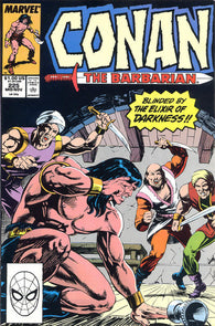 Conan The Barbarian - 225