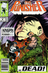 Punisher Vol. 2 - 016 - Newsstand