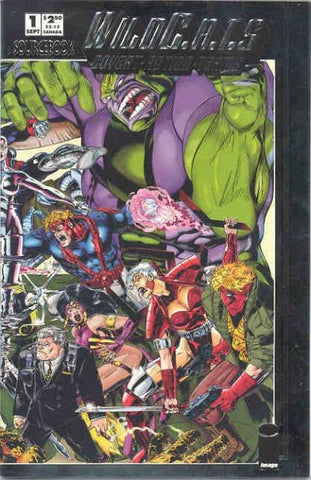 Wildcats Sourcebook #1 by Image Comics