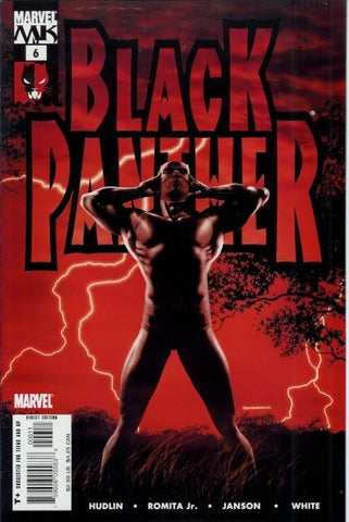 Black Panther #6 by Marvel Comics