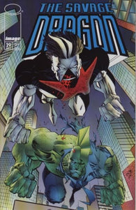 Savage Dragon #29 by Image Comics