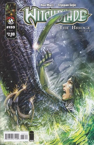 Witchblade - 133