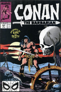 Conan The Barbarian - 223