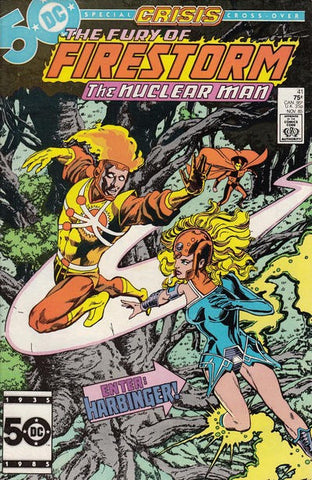 Firestorm Vol 2 - 041