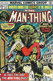 Man-Thing #22 by Marvel Comics - Fine