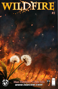 Wildfire #2 by Image Comics