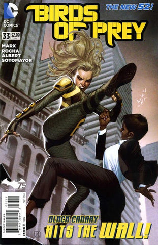 Birds of Prey #33 by DC Comics