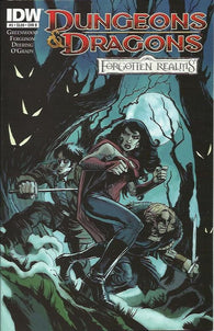 Dungeons And Dragons Forgotten Realms #3 by IDW Comics