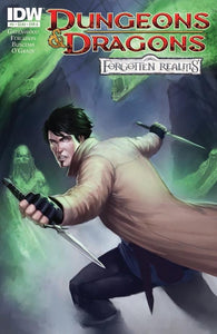 Dungeons And Dragons Forgotten Realms #5 by IDW Comics