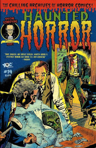 Haunted Horror #14 by IDW Comics