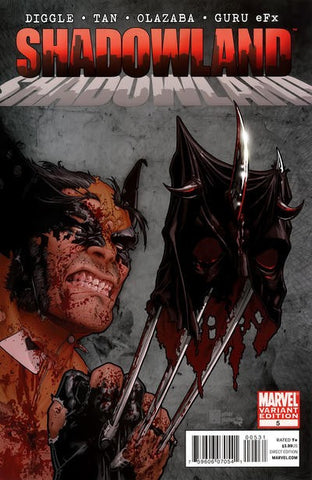 Daredevil Shadowland #5 by Marvel Comics